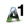 A1