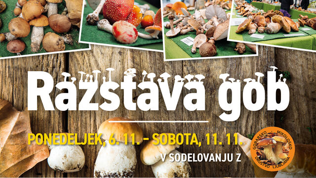 RAZSTAVA GOB V CENTRU VIČ