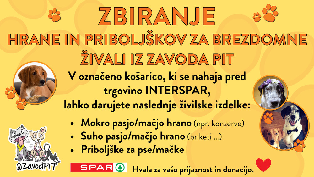 Zbiranje hrane in priboljškov za brezdomne živali iz Zavoda Pit